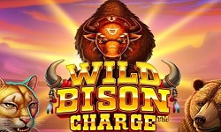 Wild Bison Charge