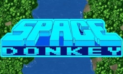 Space Donkey