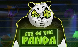 Eye of the Panda