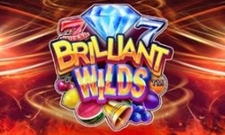 Brilliant Wilds